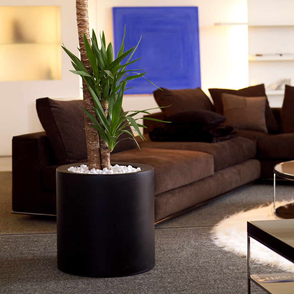 Cilindro Planter with Self-Watering System