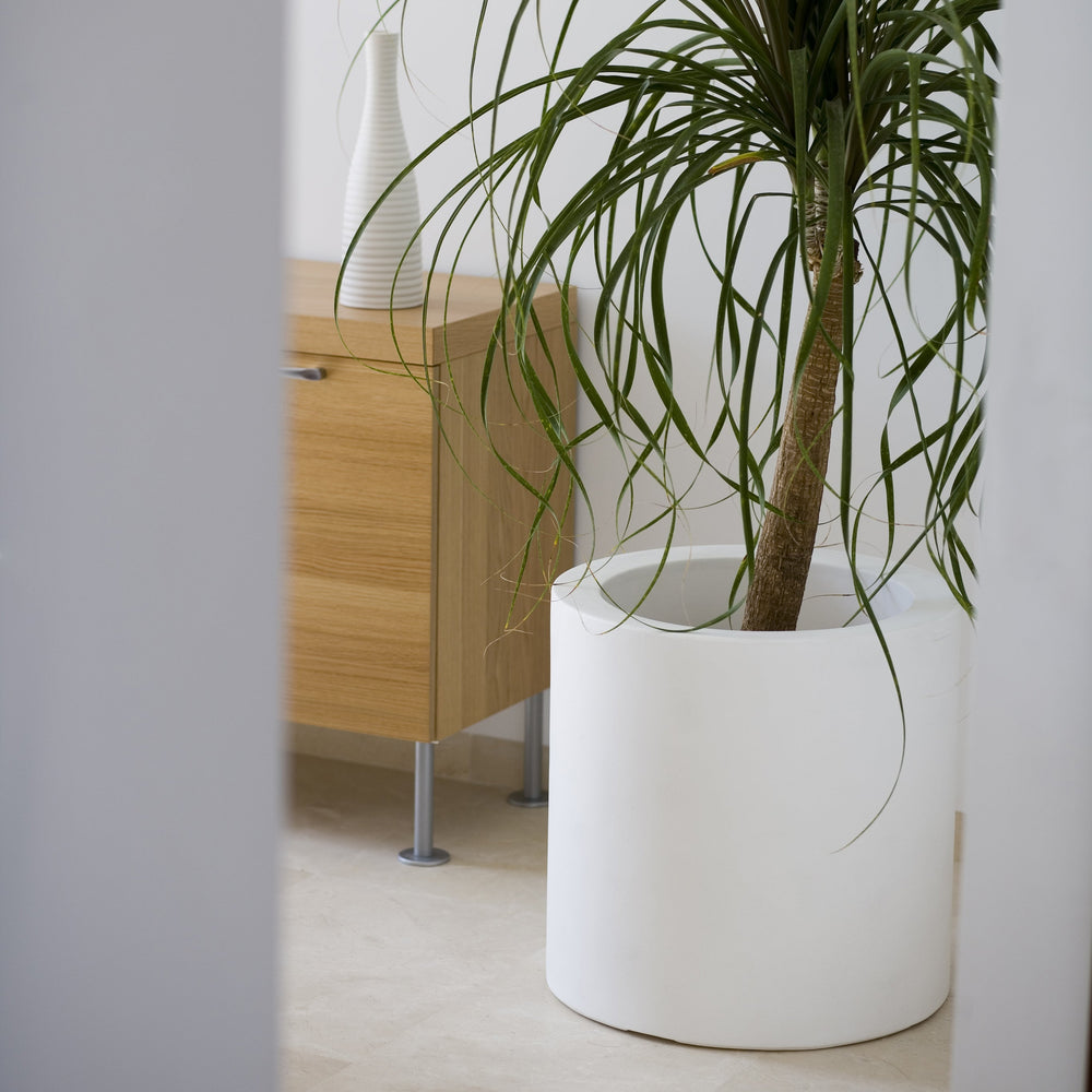 Illuminated Cylinder Planter