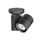 1023 Exterminator II 80CRI Adjustable Spot Light  option Black