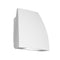 Endurance Fin Outdoor/Indoor Wall Pack  option Architectural White