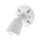Endurance Single LED Spot Light  option Architectural White