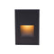 Low Voltage 4021 Vertical Step and Wall Light  option Black on Aluminum