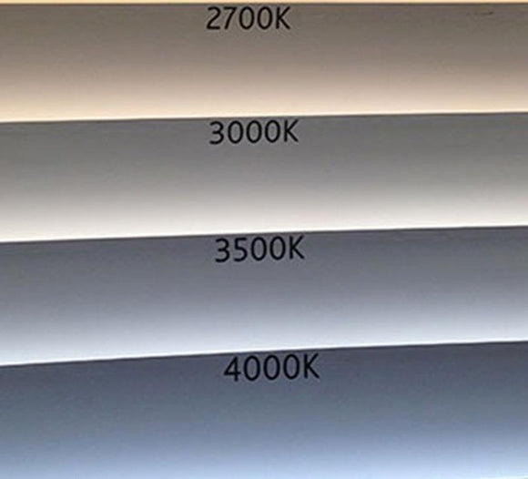 WAC Lighting Lucio 6010 Adjustable Spot Light 2Modern