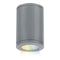 Tube Architectural Color Changing Flush Mount  option Graphite