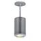 Tube Architectural Color Changing Pendant Light  option Graphite