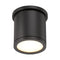 Tube Indoor/Outdoor Flush Mount  option Black
