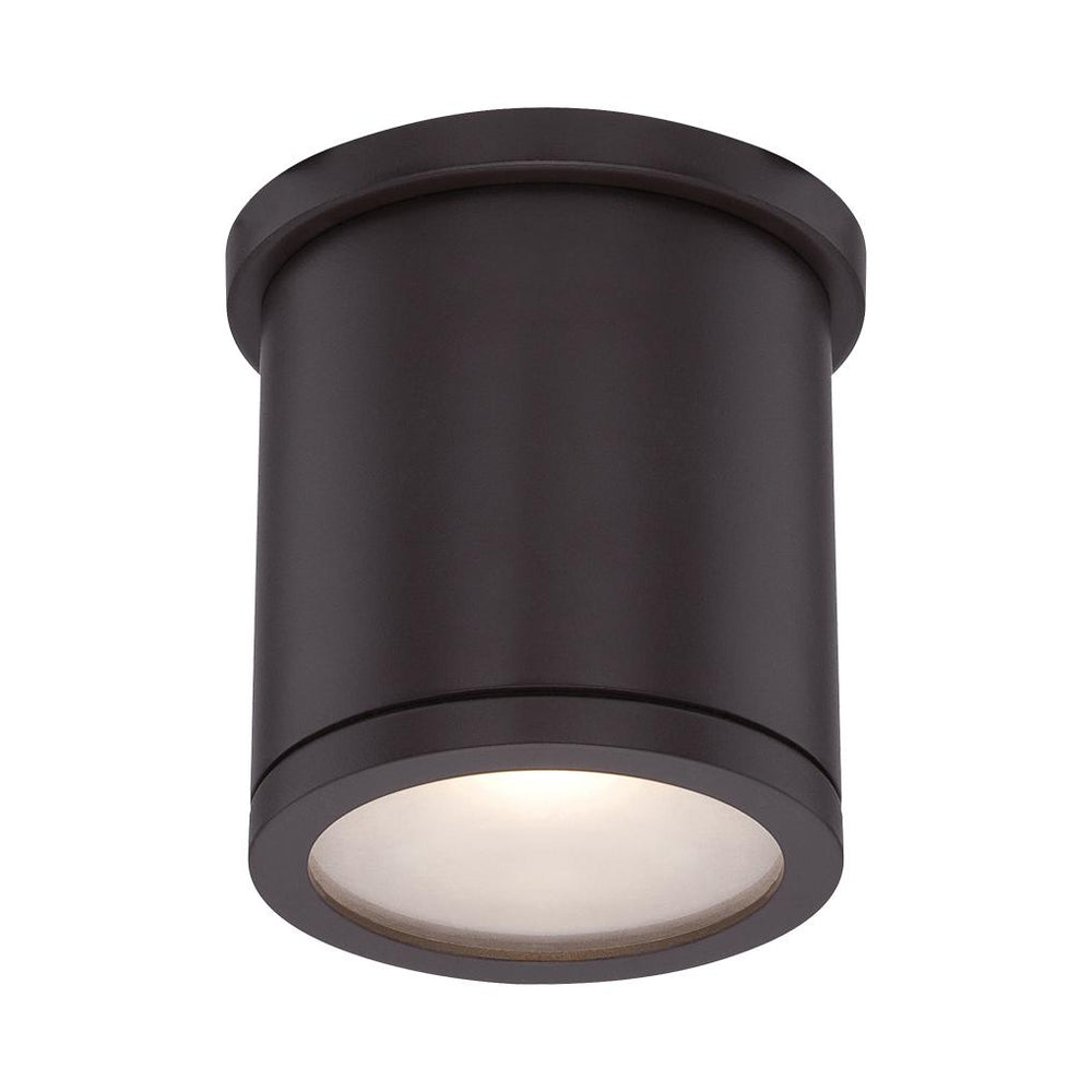 Tube Indoor/Outdoor Flush Mount