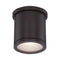 Tube Indoor/Outdoor Flush Mount  option Bronze