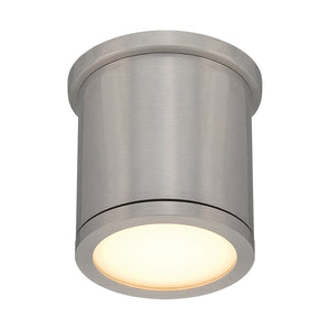 Tube Indoor/Outdoor Flush Mount