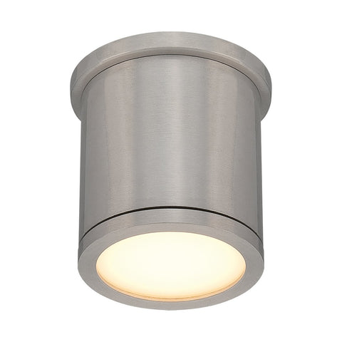 Tube Indoor/Outdoor Flush Mount