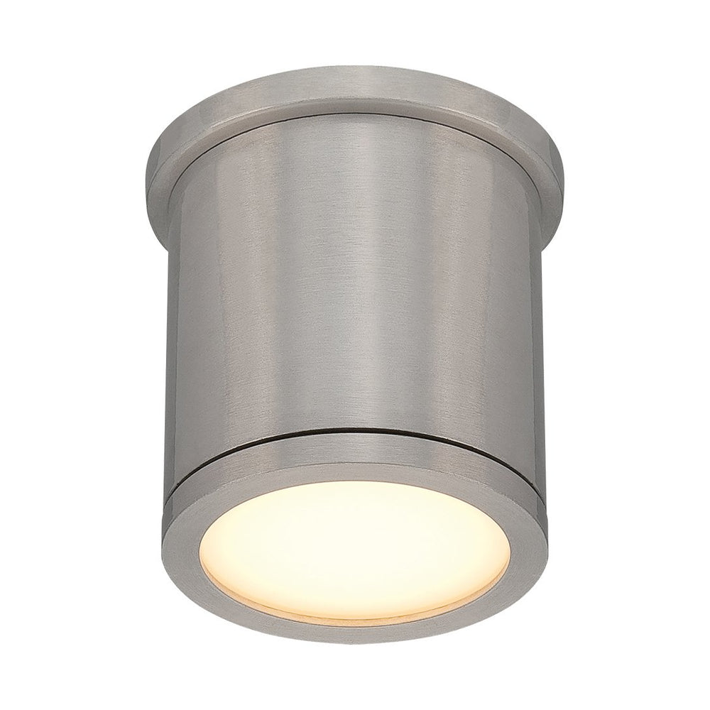 Tube Indoor/Outdoor Flush Mount