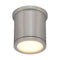 Tube Indoor/Outdoor Flush Mount  option Brushed Aluminum