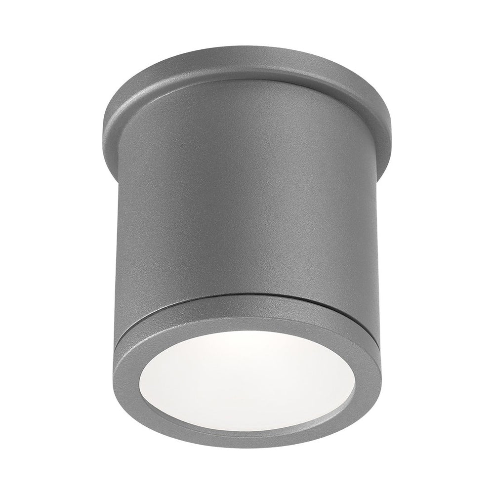 Tube Indoor/Outdoor Flush Mount