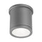 Tube Indoor/Outdoor Flush Mount  option Graphite