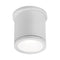 Tube Indoor/Outdoor Flush Mount  option White