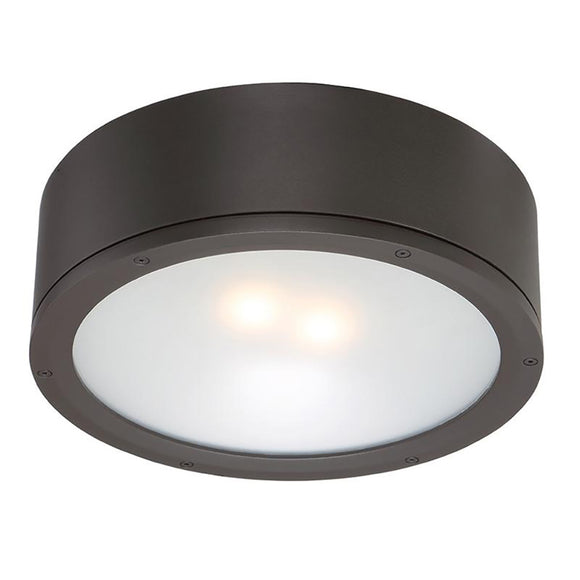 Tube Indoor/Outdoor Flush Mount