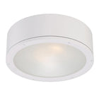 Tube Indoor/Outdoor Flush Mount