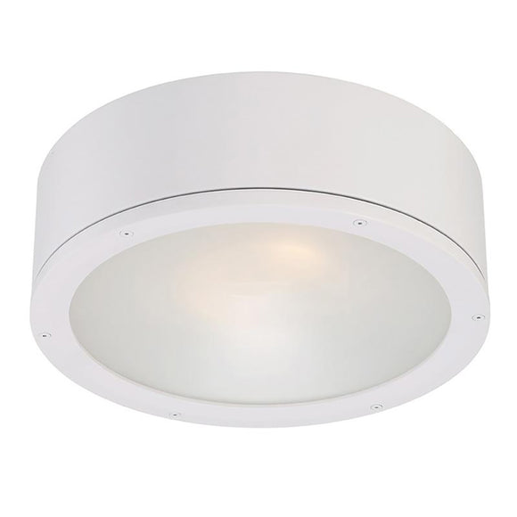 Tube Indoor/Outdoor Flush Mount