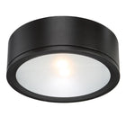 Tube Indoor/Outdoor Flush Mount