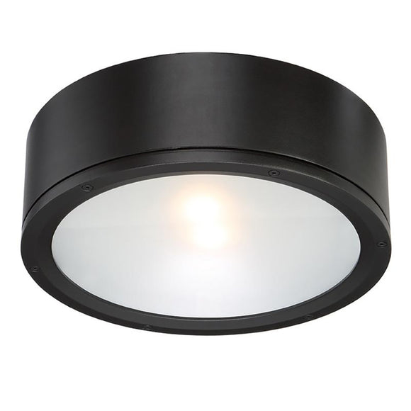 Tube Indoor/Outdoor Flush Mount