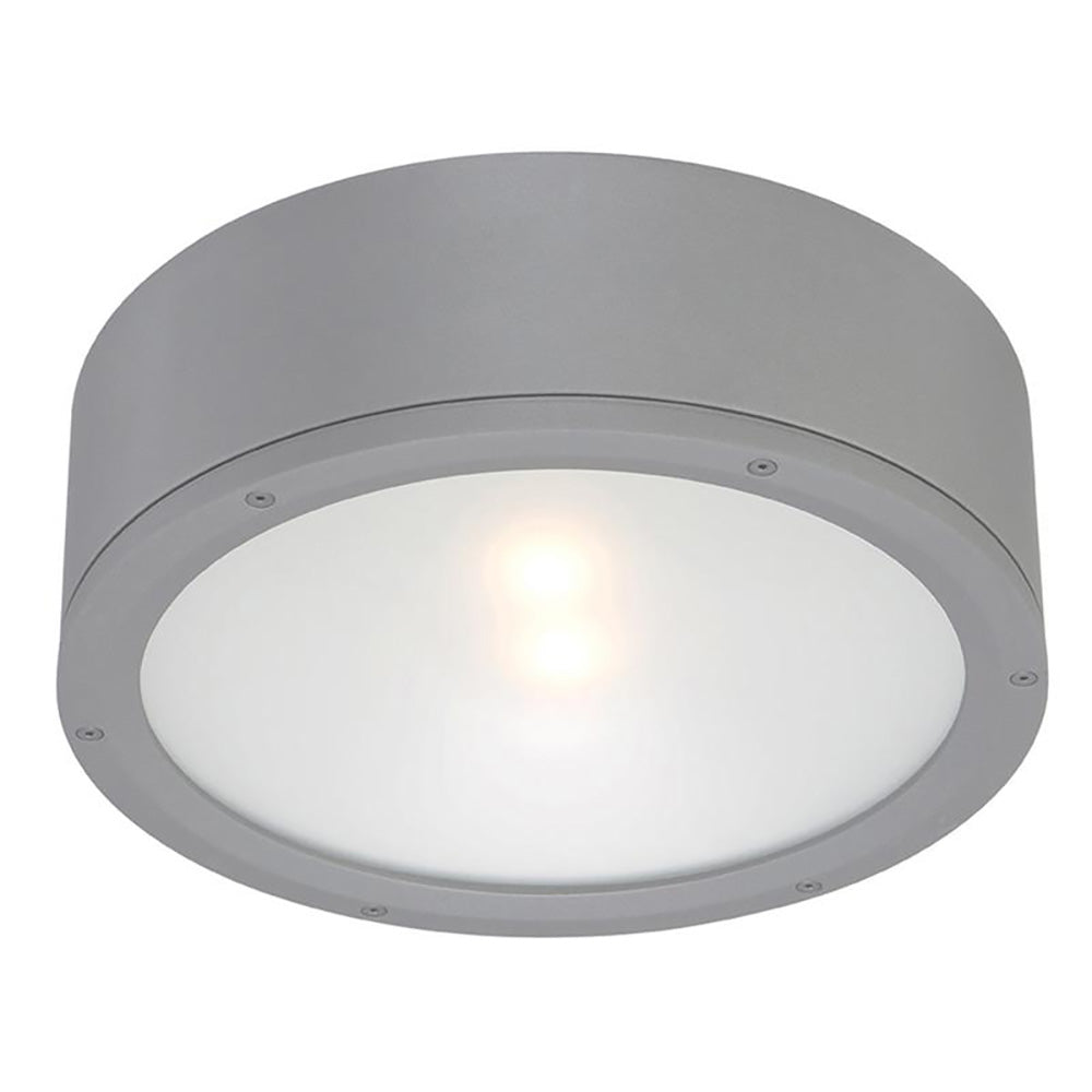 Tube Indoor/Outdoor Flush Mount