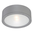 Tube Indoor/Outdoor Flush Mount