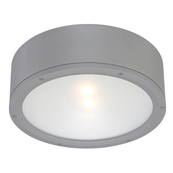 Tube Indoor/Outdoor Flush Mount