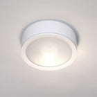 Tube Indoor/Outdoor Flush Mount