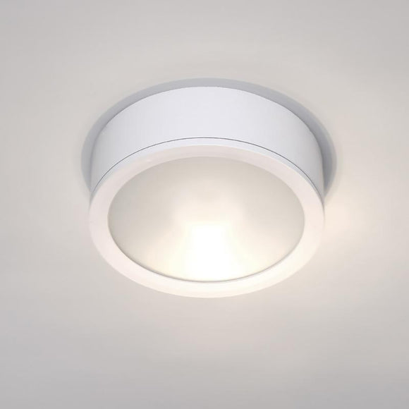Tube Indoor/Outdoor Flush Mount