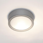 Tube Indoor/Outdoor Flush Mount