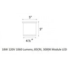 Tube Indoor/Outdoor Flush Mount