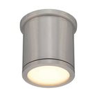 Tube Indoor/Outdoor Flush Mount