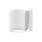 Tube Indoor / Outdoor Wall Light  option White