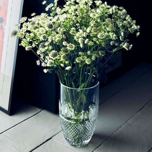 Irish Lace Vase