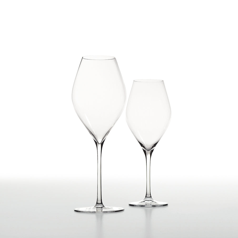Vem Champagne Flutes (Set of 6)