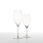 Vem Champagne Flutes (Set of 6)