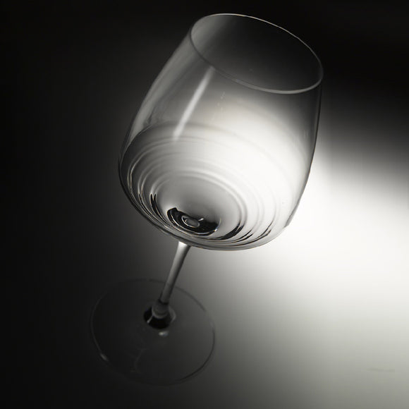 Esperienze Aged Reds Wine Glass (Set of 6)