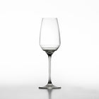Esperienze Flute Wine Glass (Set of 6)
