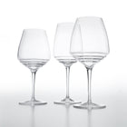 Esperienze Pinot Noir & Amarone Wine Glass (Set of 6)