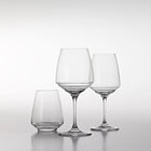 Esperienze Pinot Noir & Amarone Wine Glass (Set of 6)