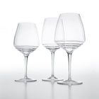 Esperienze Sauvignon Blanc Wine Glass (Set of 6)