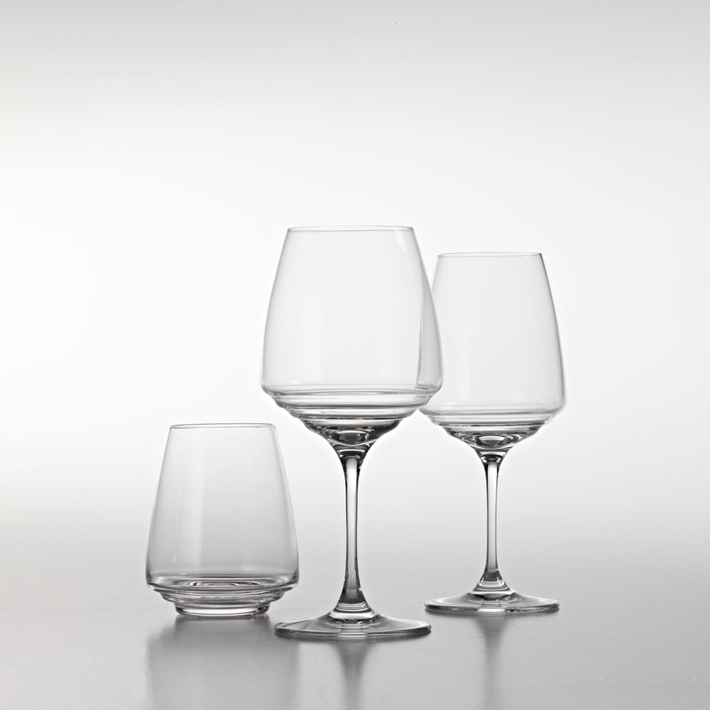 Esperienze Sauvignon Blanc Wine Glass (Set of 6)