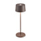 Olivia Portable Table Lamp  option Painted Rust