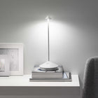 Pina Pro Portable Table Lamp