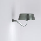 Sister Outdoor Wall Sconce