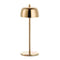 Theta Portable Table Lamp  option Rose Gold